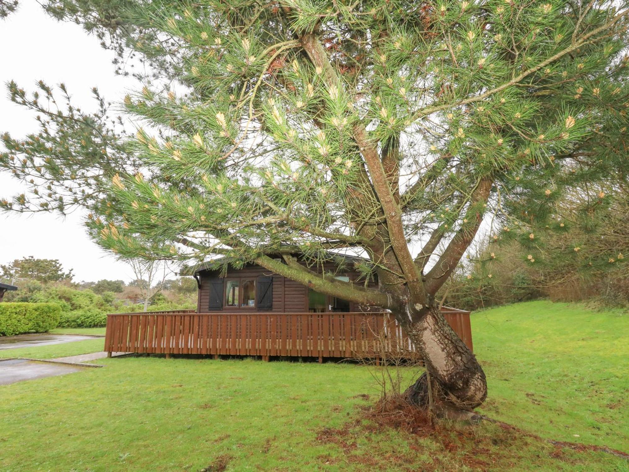 16 Amber Wood Lodge Lymington Exteriér fotografie