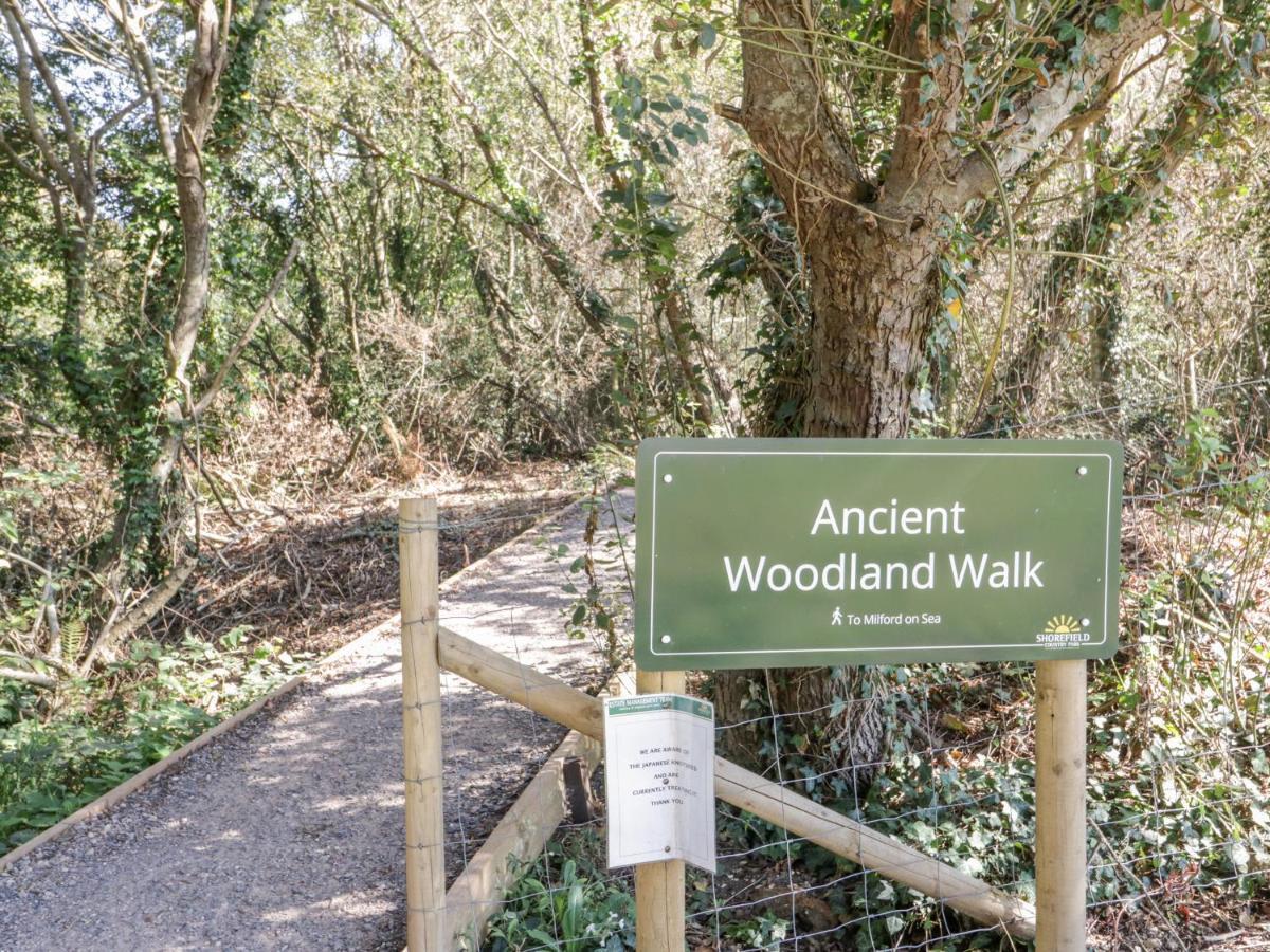 16 Amber Wood Lodge Lymington Exteriér fotografie